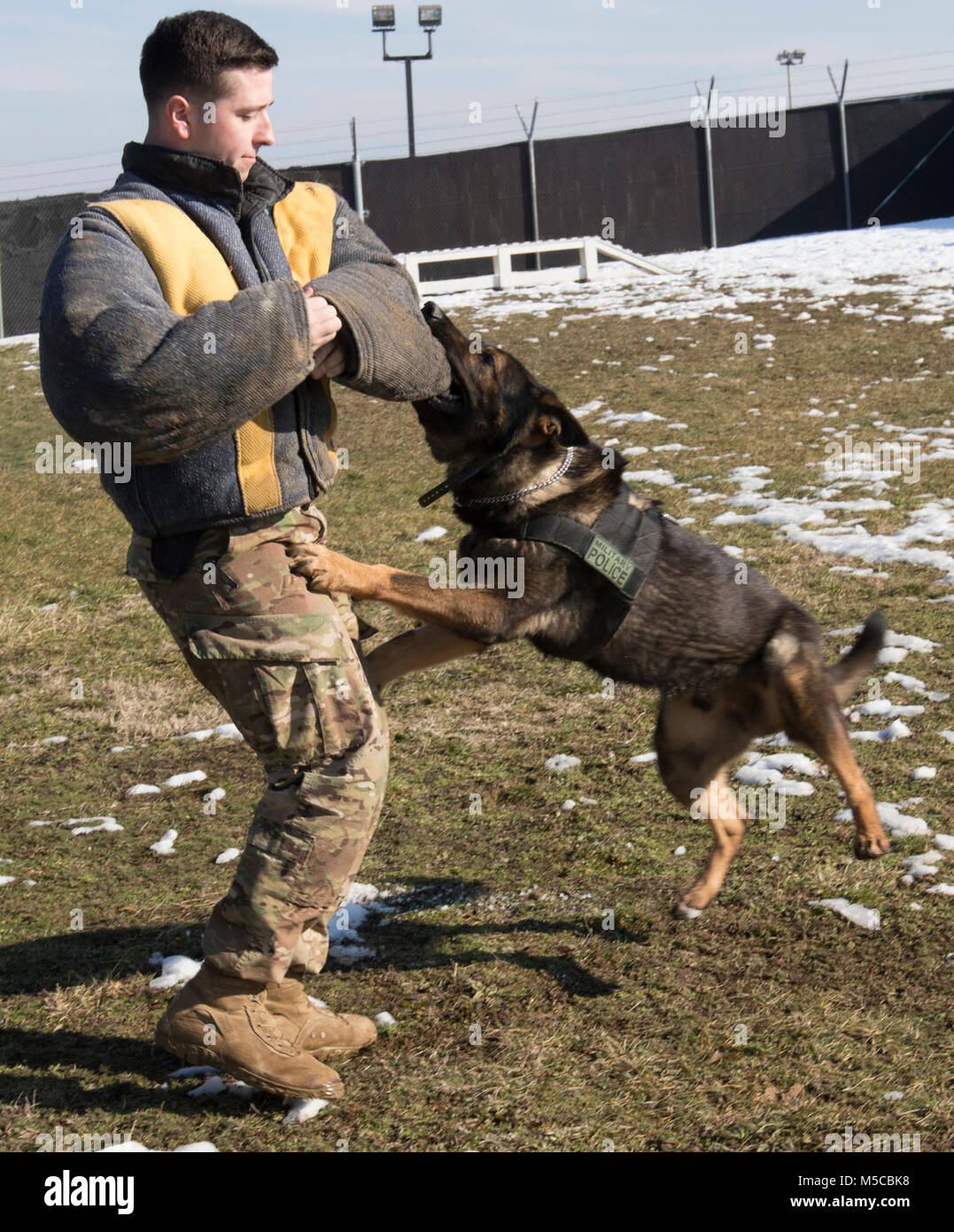 Pfc. Benjamin Allison, a military working dog handler and Sgt. Hundi, a MWD of KFOR Multinational Battle Group-East, Task Force Military Police, demonstrate a controlled aggression drill, Jan. 31, 2018, on Camp Bondsteel, Kosovo. (U.S. Army Stock Photo