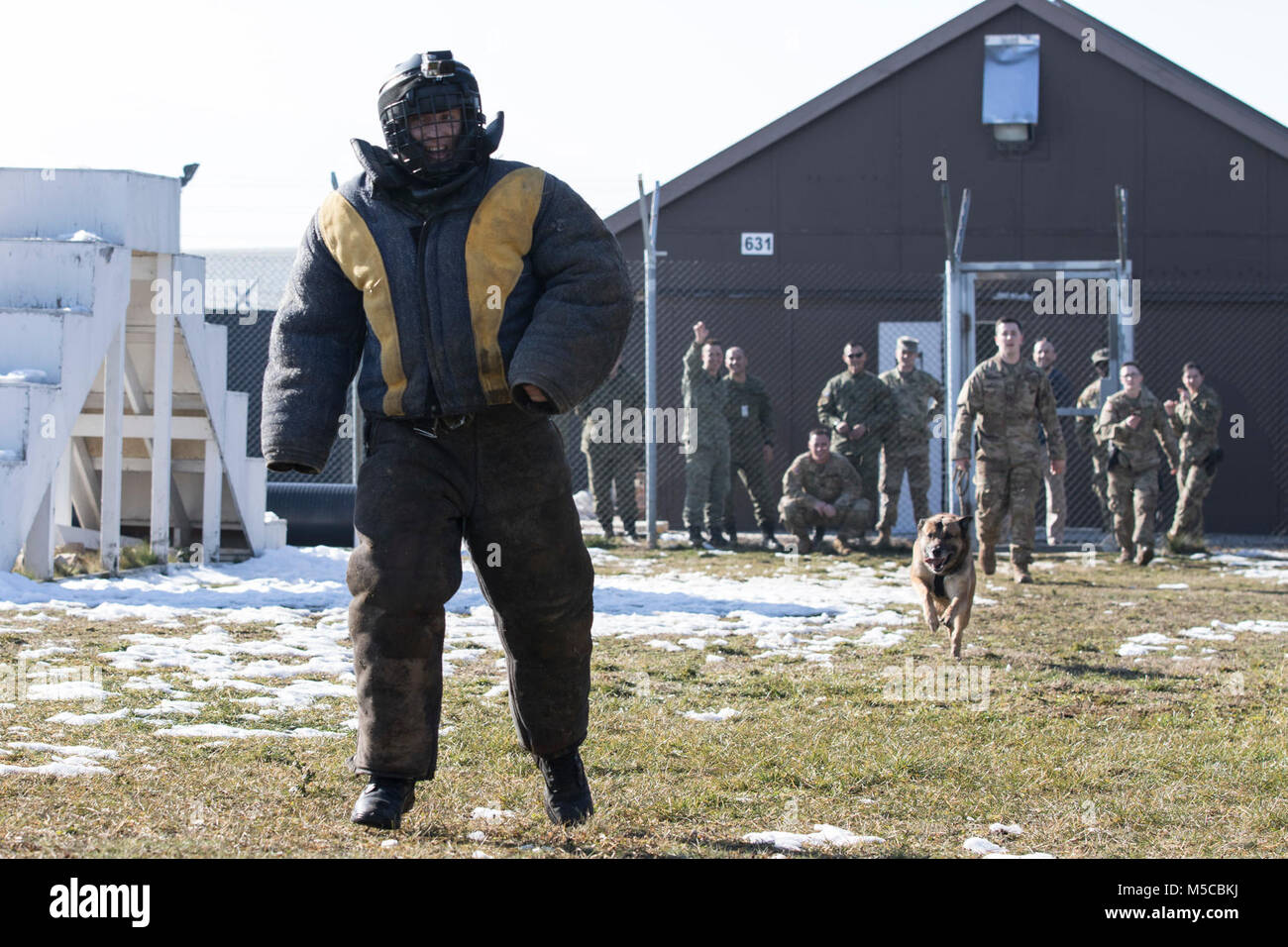 A Kosovo Security Force, Search and Rescue soldier wearing protective gear attempts to run as Spc. Chengo, a military working dog for KFOR Multinational Battle Group-East, Task Force Military Police closes in while performing a controlled aggression drill during a MWD demonstration, Jan. 31, 2018, on Camp Bondsteel, Kosovo. (U.S. Army Stock Photo