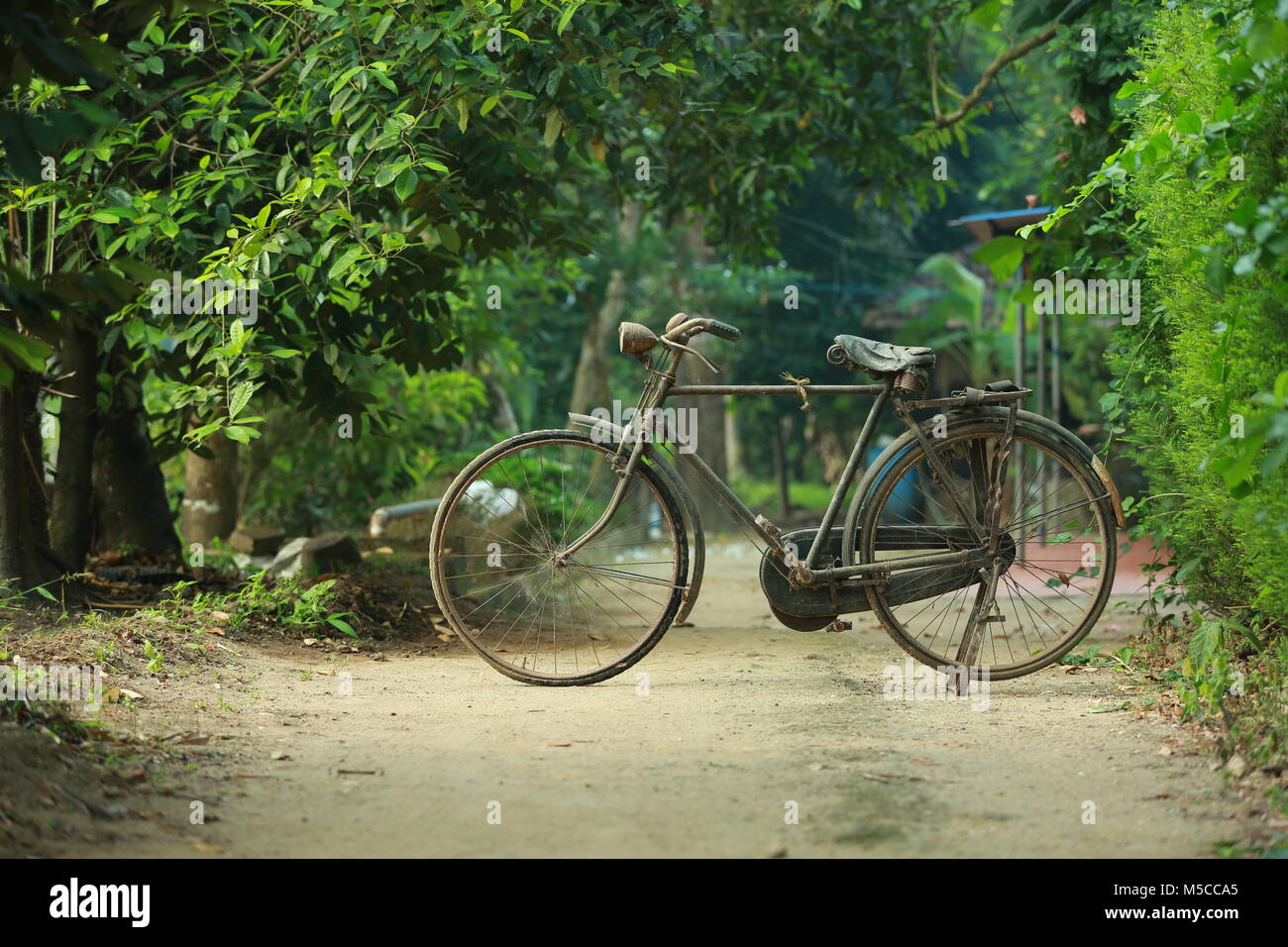 Life cycle in nature hi-res stock photography and images - Alamy