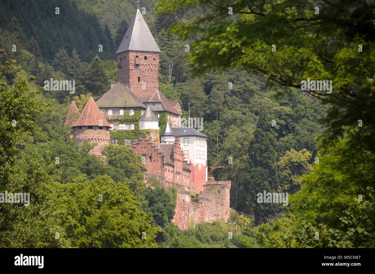 Schloss Zwingenberg, Zwingenberg-Neckar, Baden-Württemberg, Deutschland Stock Photo