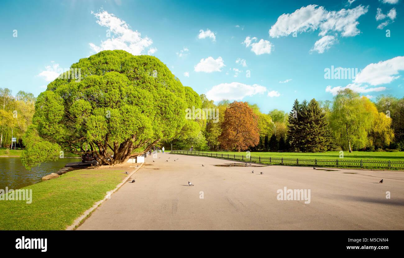 Botanical garden in VDNH, Moscow, Russia Stock Photo - Alamy