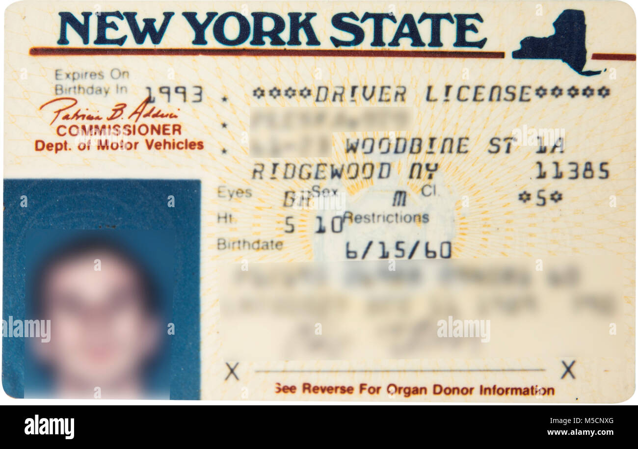 New York state driving license for car. Stock Photo