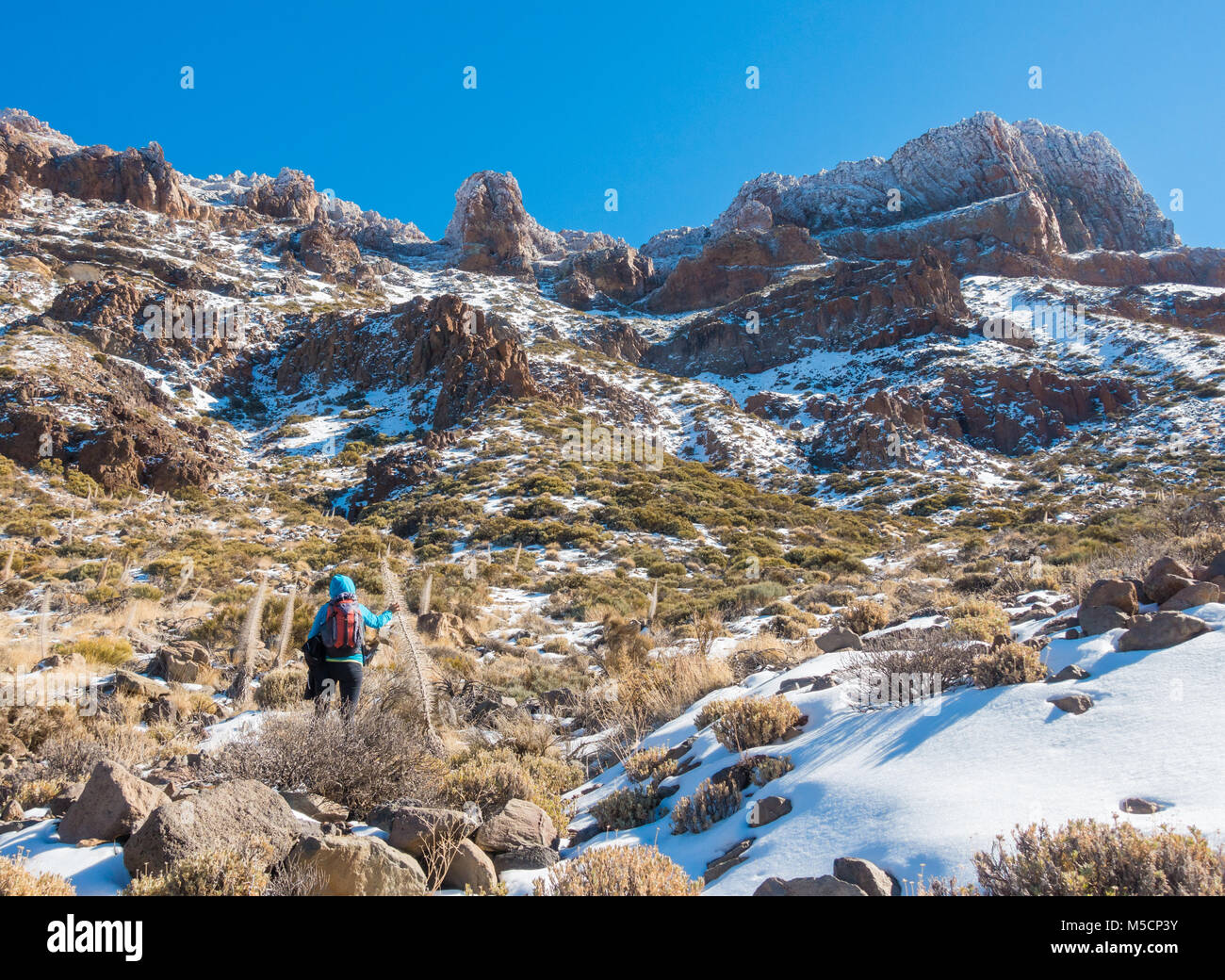 Female hiker on footpath in crater below mount Teide following recent snow. Parque Nacional del Teide, Tenerife, Canary Islands, Spain Stock Photo