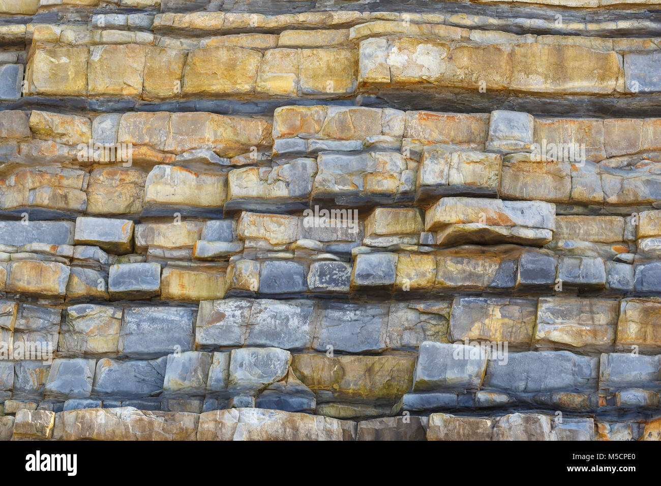 Horizontal bedding planes exposed on a cliff at Nash Point, Glamorgan. Stock Photo