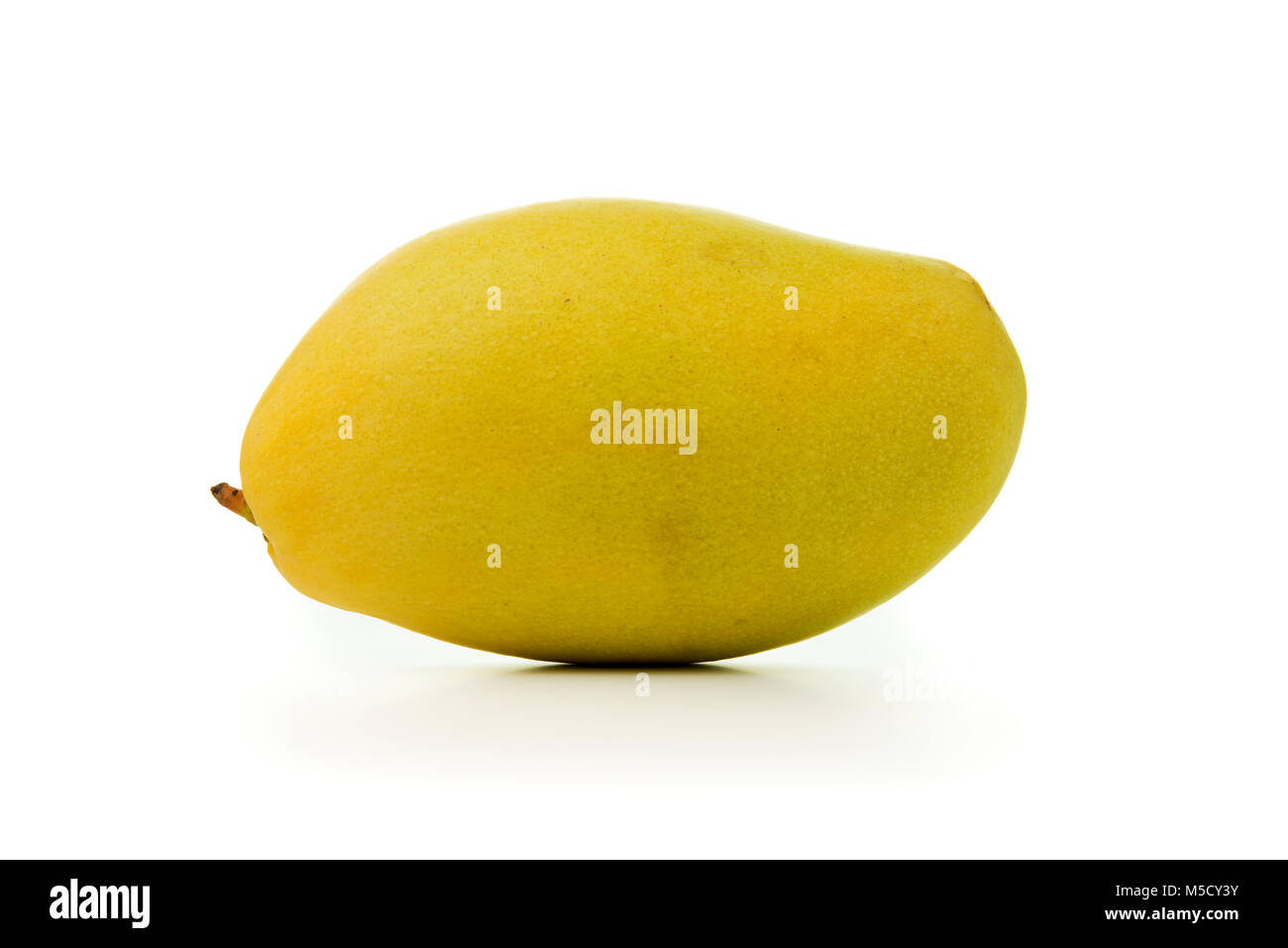 Mangos on white background Stock Photo Alamy