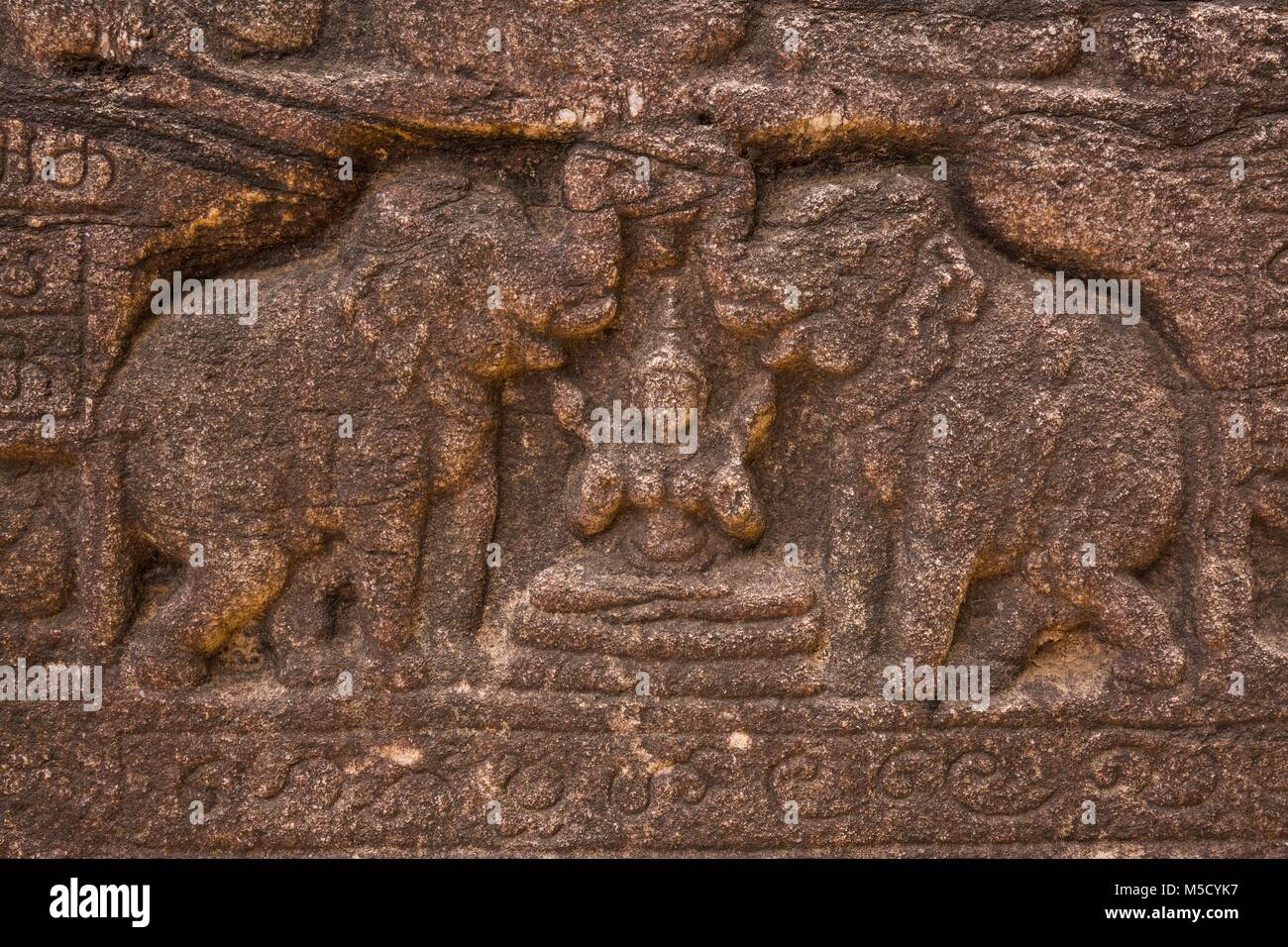 Carved elephants, Polonnaruwa, Sri Lanka. July 2017 Stock Photo
