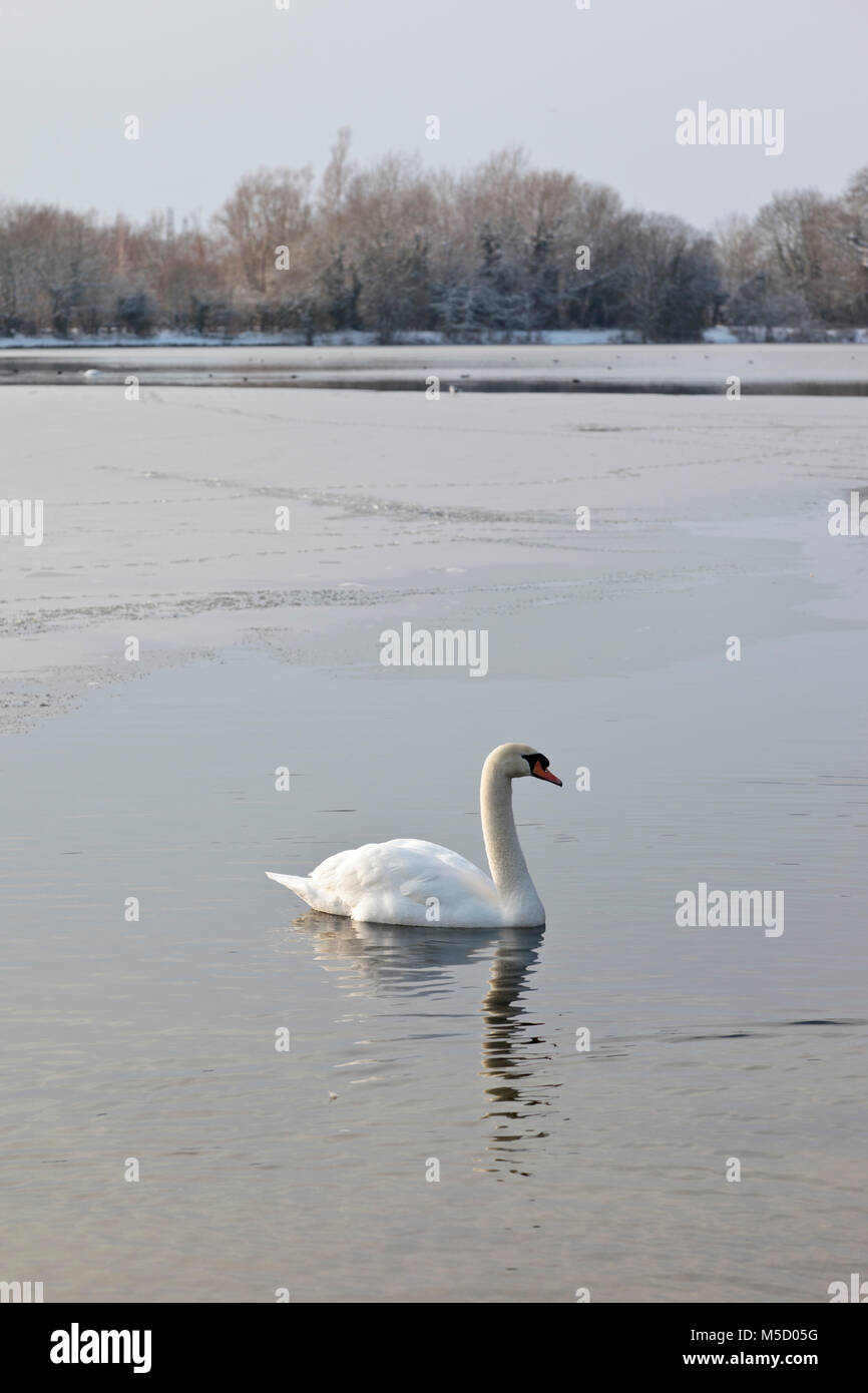 Cotswold Water Park Stock Photos & Cotswold Water Park 