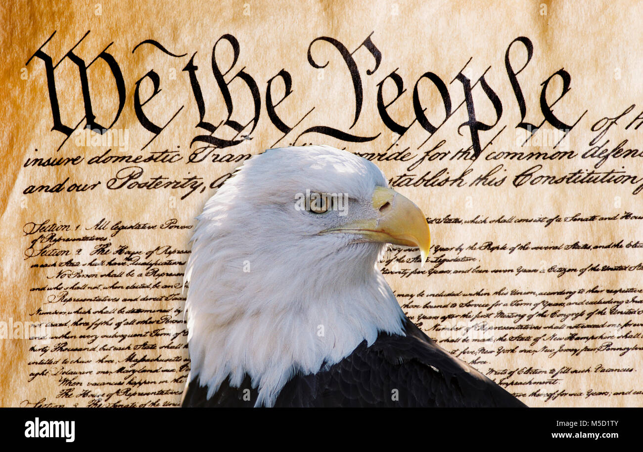Constitution of America, We the People with American bald eagle. Stock Photo