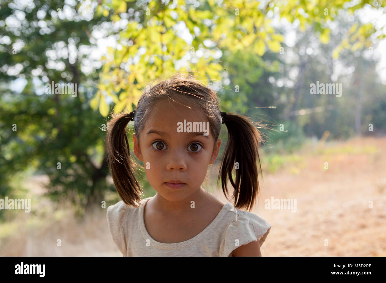 Portrait wide-eyed girl with pigtails in yard Stock Photo