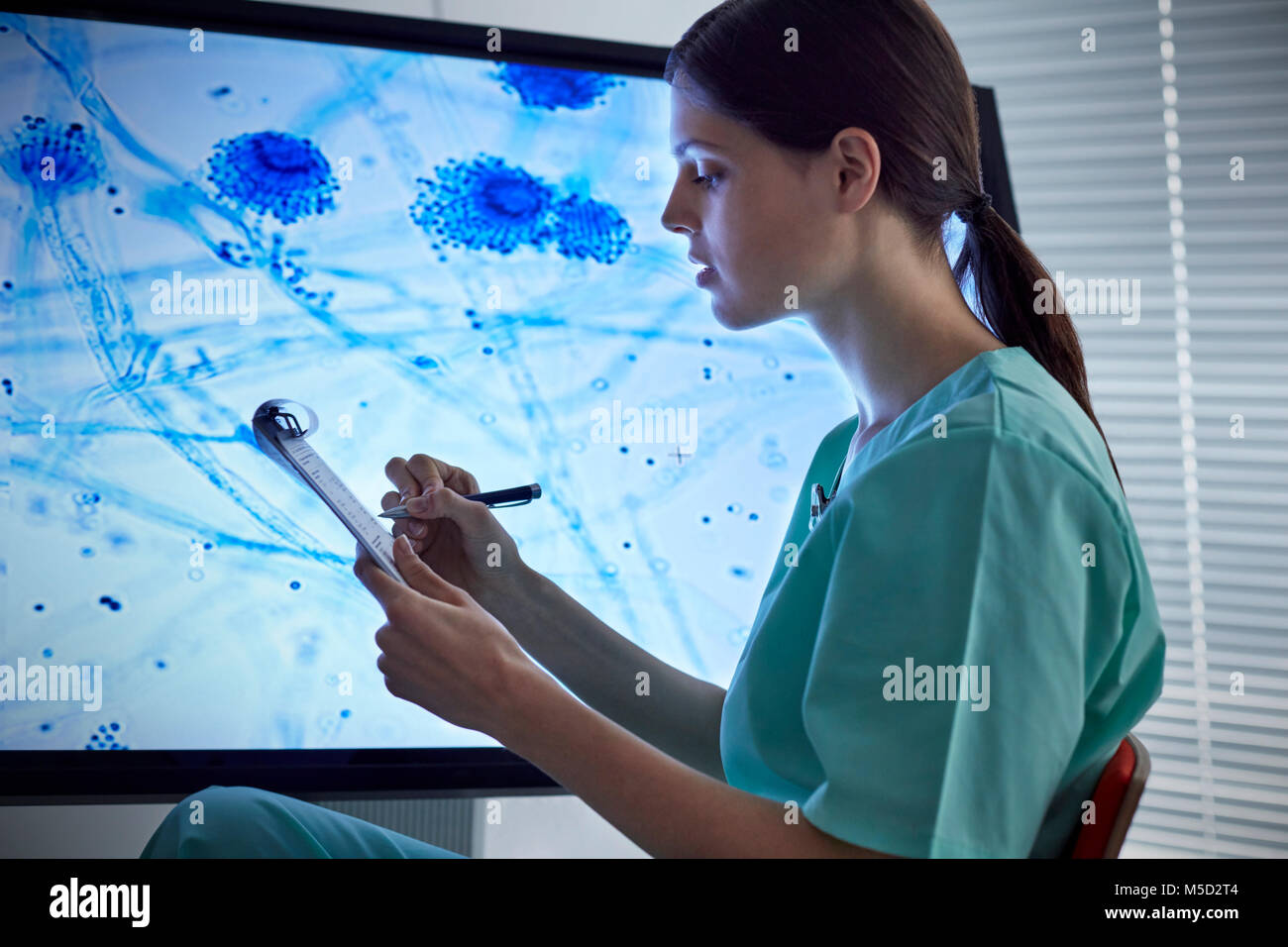Female nurse with clipboard looking at magnified microscope slide on computer monitor Stock Photo