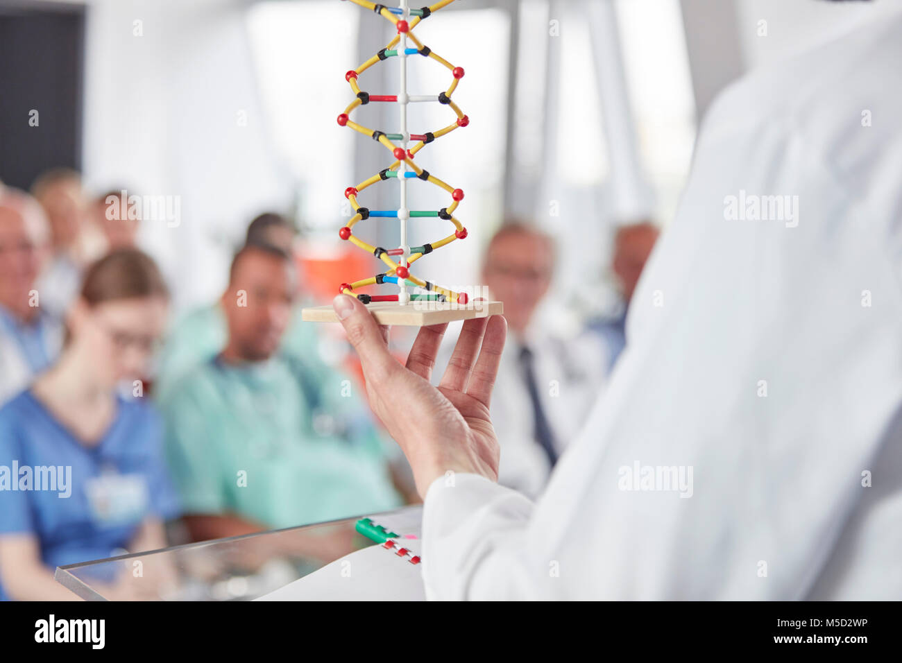 Scientist holding helix model in conference Stock Photo