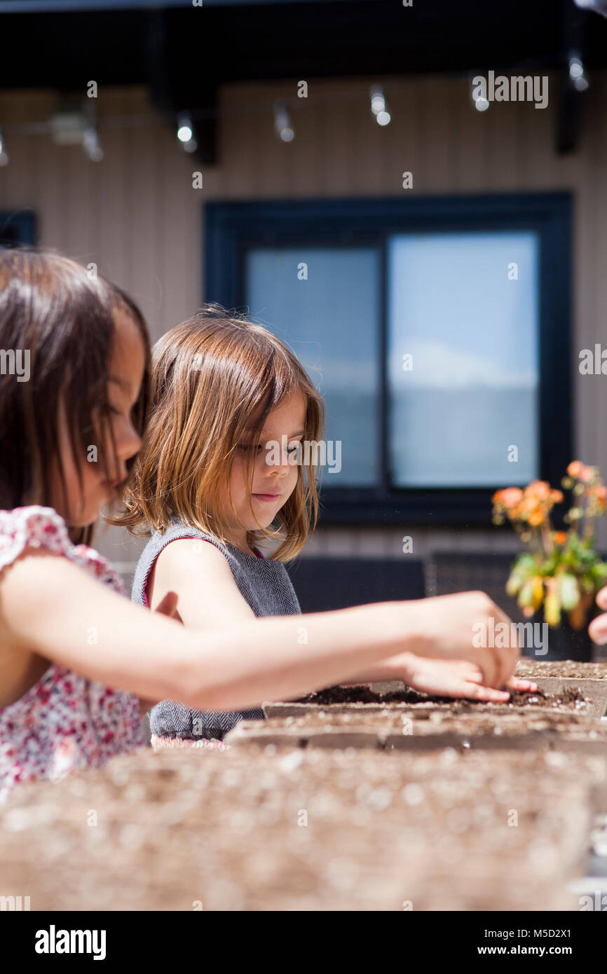 Girls planting seedlings on sunny patio Stock Photo