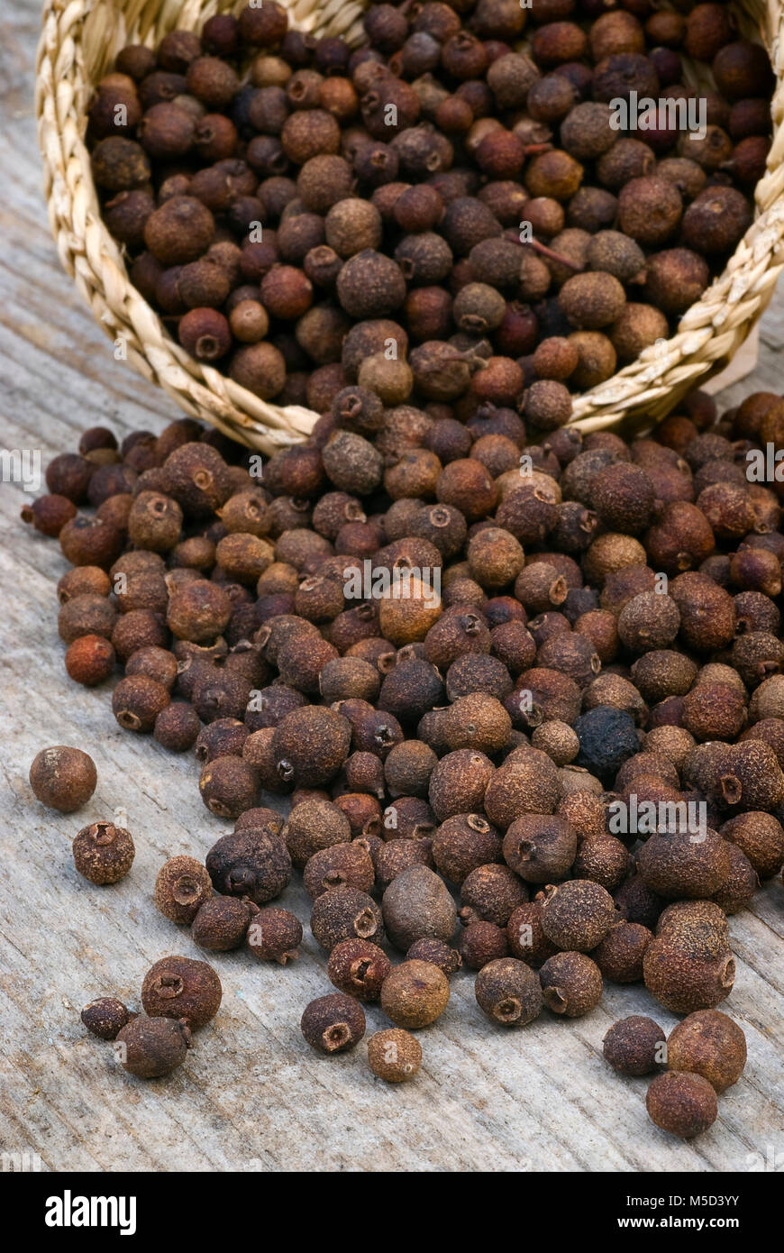 Allspice, also called Jamaica pepper or pimento Stock Photo Alamy