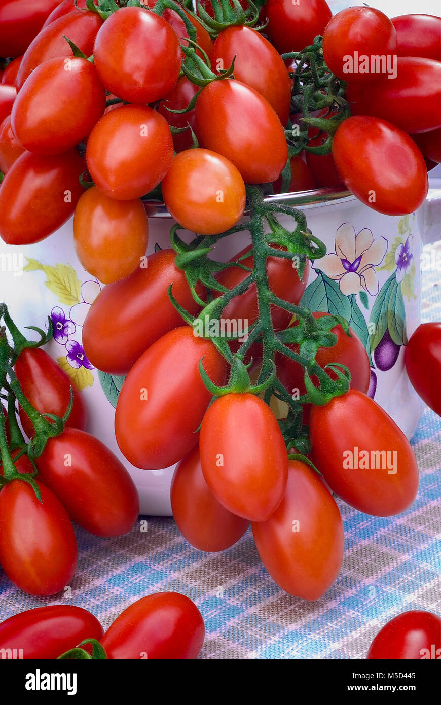 Cherry tomato (plum) of Sicily (Italy) Stock Photo