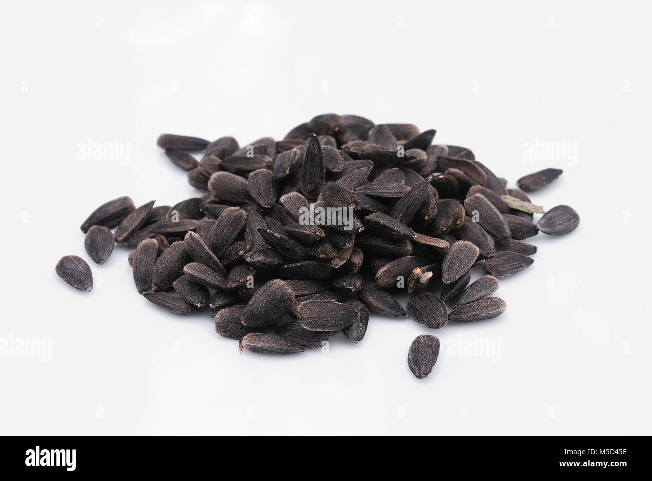 Sunflower seeds black white hi-res stock photography and images - Alamy
