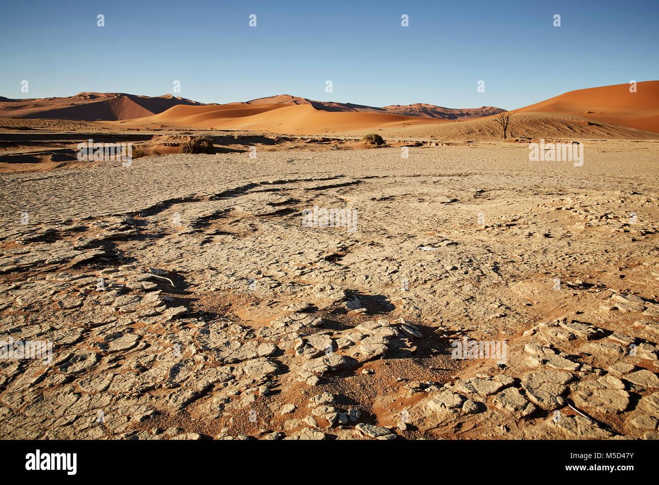 Dried out soil in front of sand dunes, salt clay pans, Sossusvlei, Namib Desert, Namib-Naukluft National Park, Namibia Stock Photo
