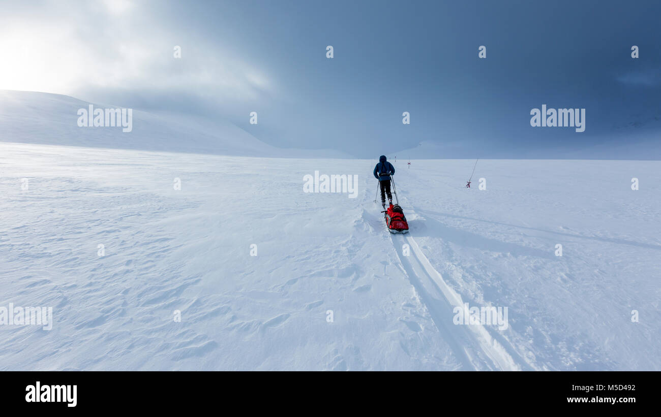 Ski tourer with pulka in the snow, Kungsleden or Königsweg, Province of Lapland, Sweden, Scandinavia Stock Photo