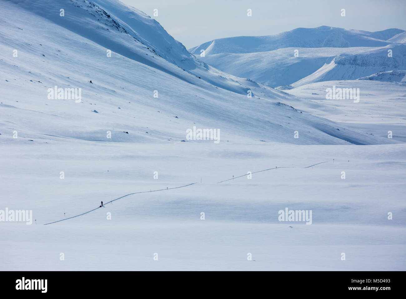 Ski tourer with pulka in the snow, Kungsleden or Königsweg, Province of Lapland, Sweden, Scandinavia Stock Photo