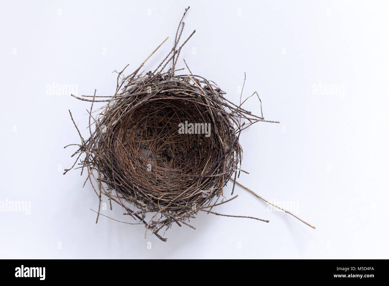 Empty bird's nest, studio shot, cutout Stock Photo