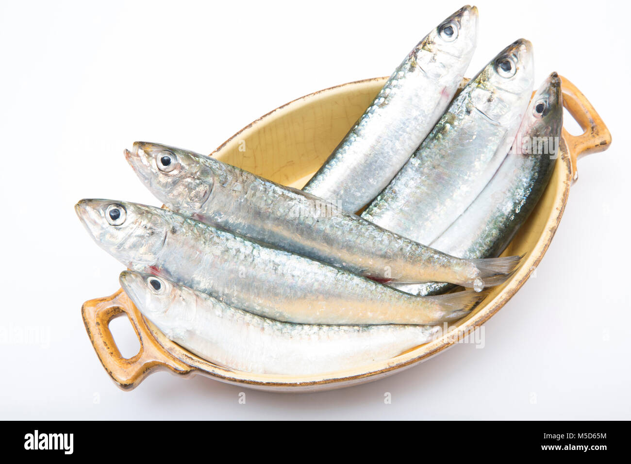 Pilchards. Sardines and pilchards are the same creature. At about 7in
