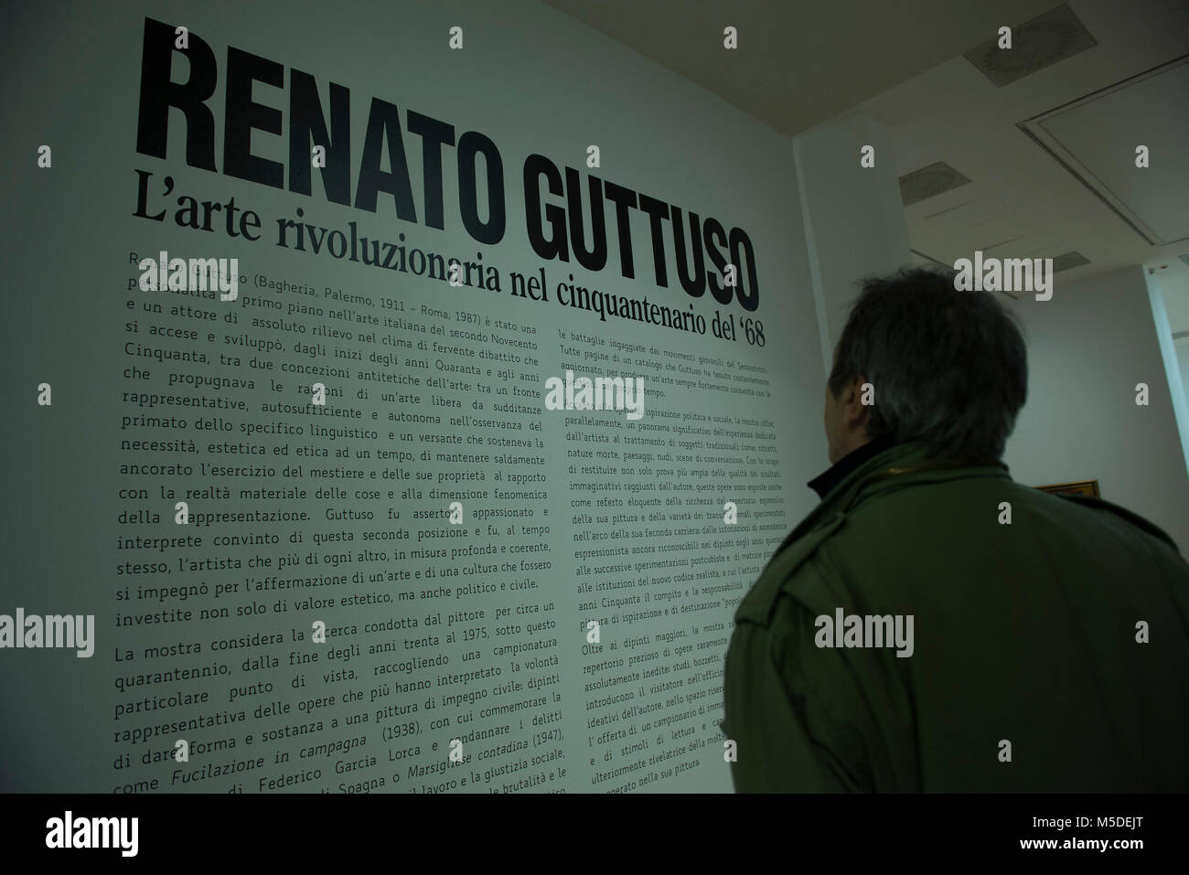 Turin, Piedmont, Italy. 22nd Feb, 2018. Turin, Italy-February 22, 2018: Renato Guttuso art exhibition at the GAM in Turin Credit: Stefano Guidi/ZUMA Wire/Alamy Live News Stock Photo