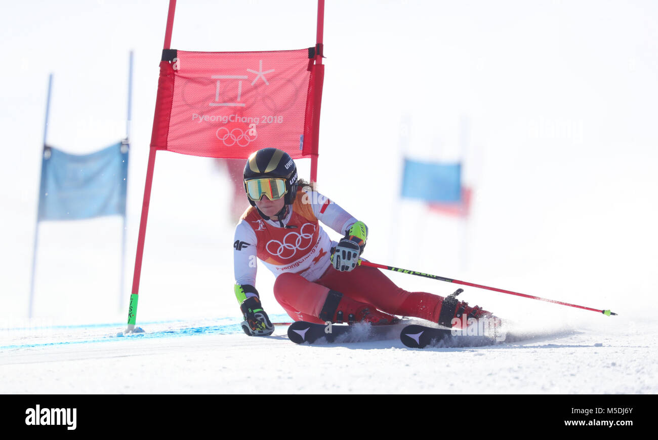 15 February 2018, South Korea, Pyeongchang: Olympics, Alpine skiing, Women's giant slalom, 1st round, Yongpyong Alpine Centre: Maryna Gasienica-Daniel from Poland in action. Photo: Michael Kappeler/dpa Stock Photo