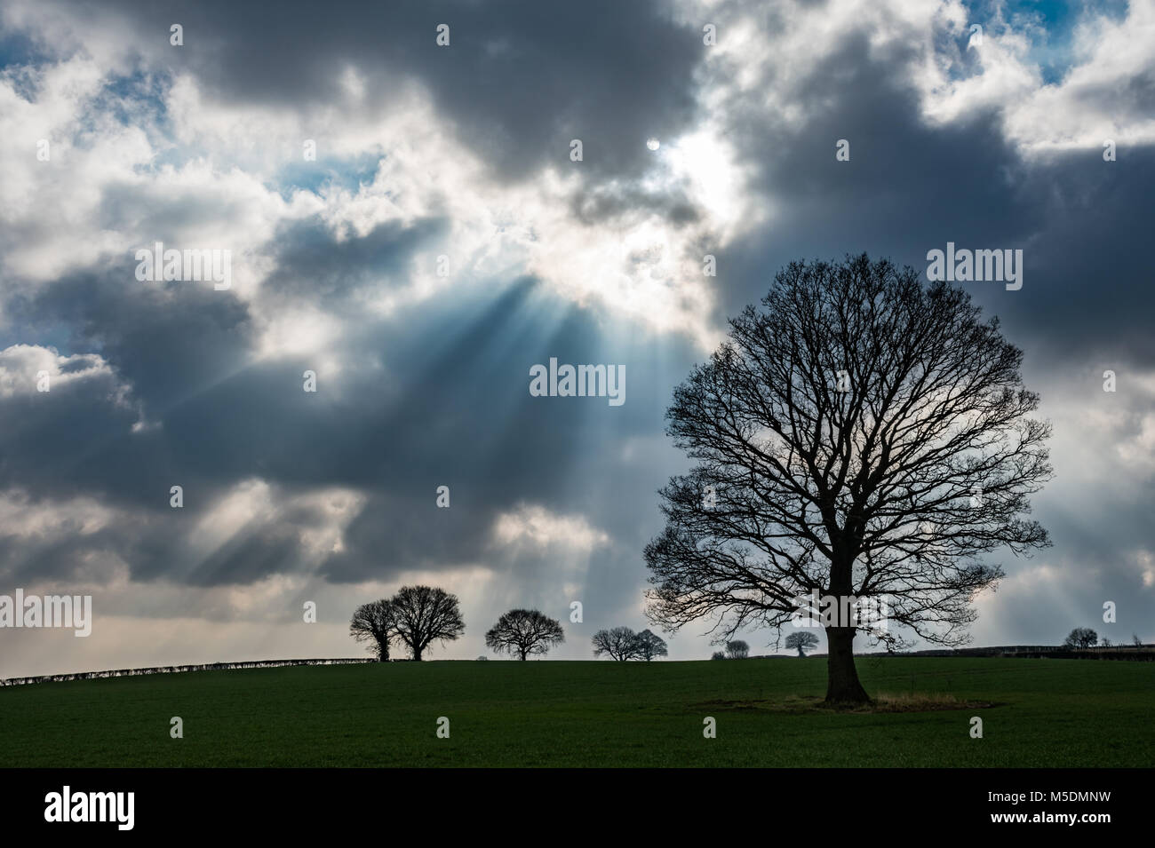 Hereford, UK. 22nd Feb, 2018. The sun breaks through the clouds on land which will potentially be the site of a proposed bypass which will dissect the A438 (Kings Acre Road) in the city of Hereford on February 22, 2018 Credit: Jim Wood/Alamy Live News Stock Photo