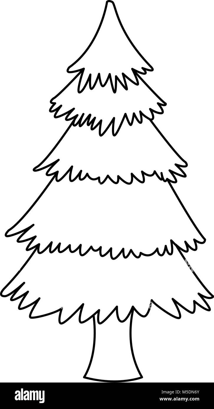 Tree pine evergreen tall trunk Stock Vector Images - Alamy