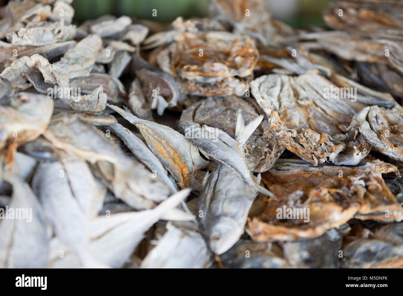 Sri Lanka, Region Mannar, Asia, fish, dried fish Stock Photo Alamy