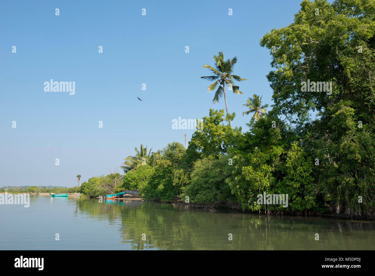 Sri Lanka, Trinquemalay, Trinquemale, Asia
