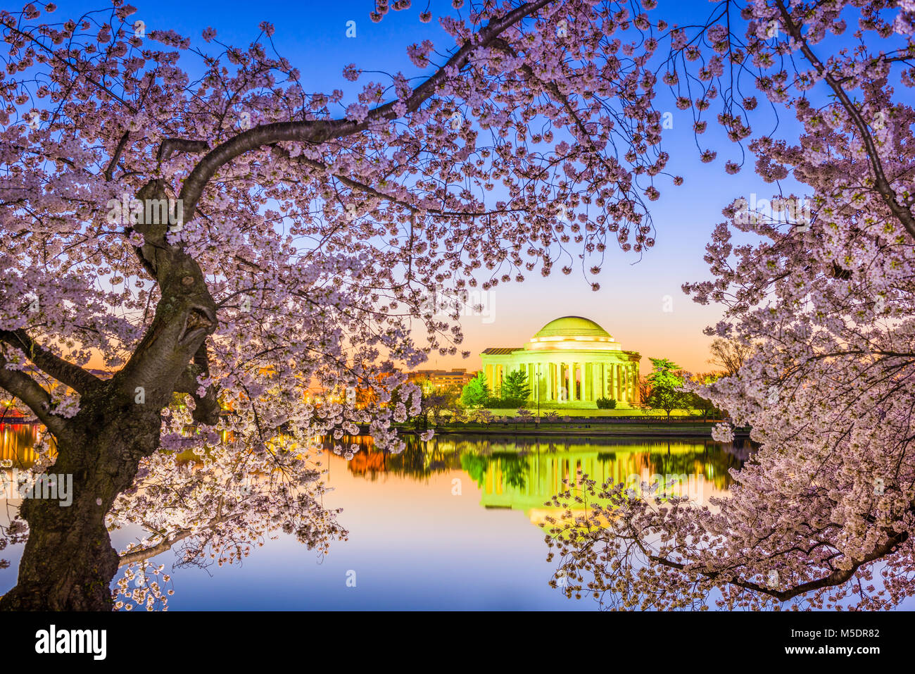 Washington DC, USA at the Jefferson Memorial and Tidal Basin during spring season. Stock Photo
