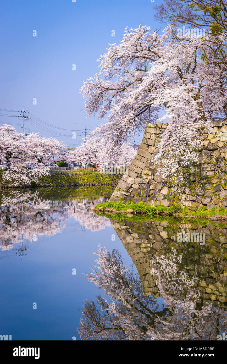 Hikone, Japan at Hikone Castle Moat. Stock Photo