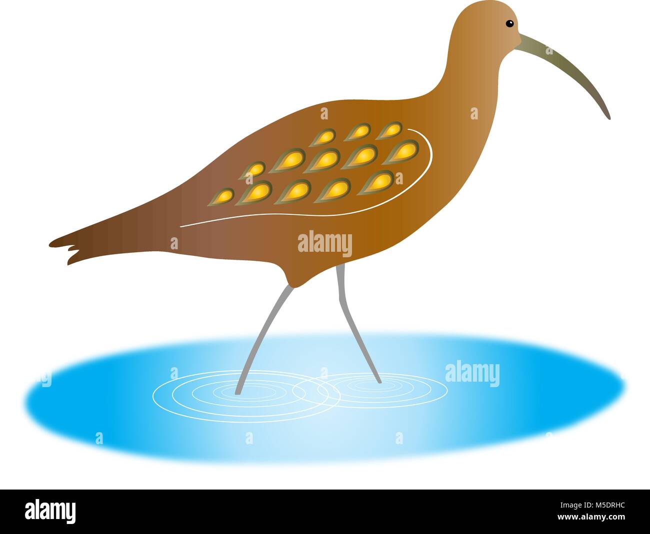 curlew, a beautiful wading bird with a long beak Stock Vector