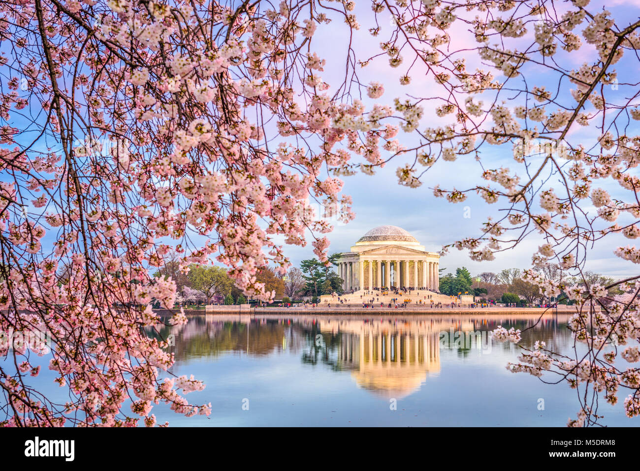 Washington DC, USA in spring season Stock Photo Alamy