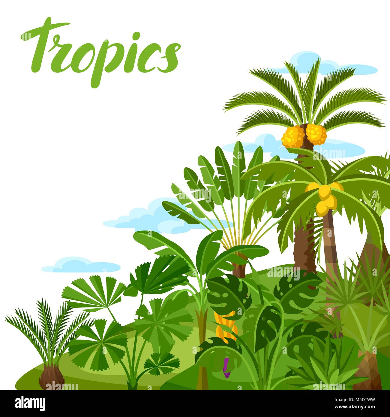 Background with tropical palm trees. Exotic tropical plants Illustration of jungle nature Stock Vector