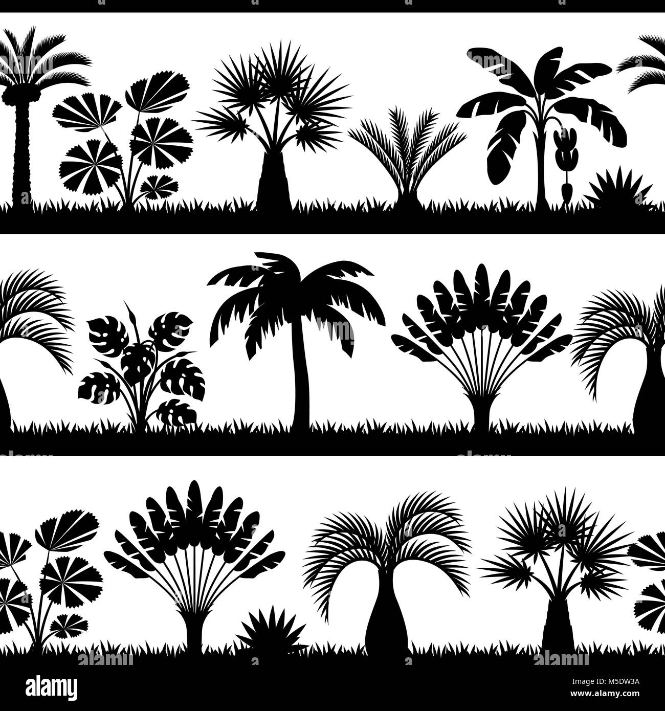 Seamless pattern with tropical palm trees. Exotic tropical plants Illustration of jungle nature Stock Vector