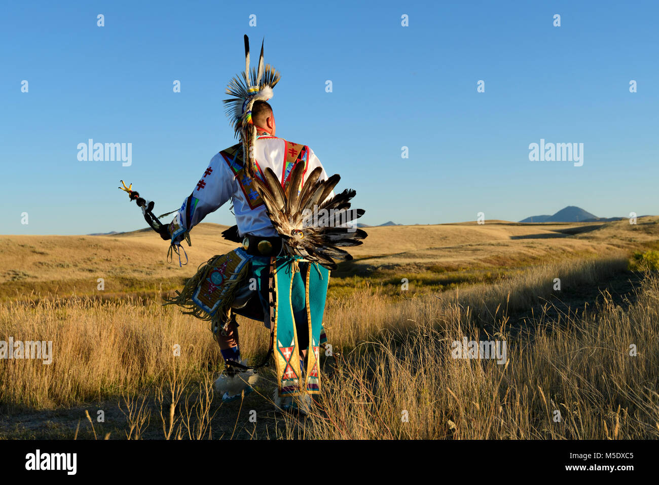 North America, USA, Great Plains, Montana, Bear Paw Battlefield, Nez