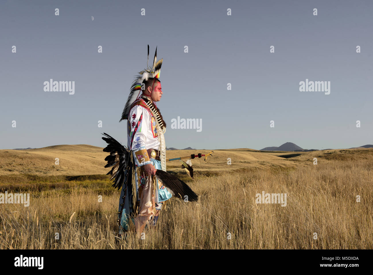 North America, USA, Great Plains, Montana, Bear Paw Battlefield, Nez