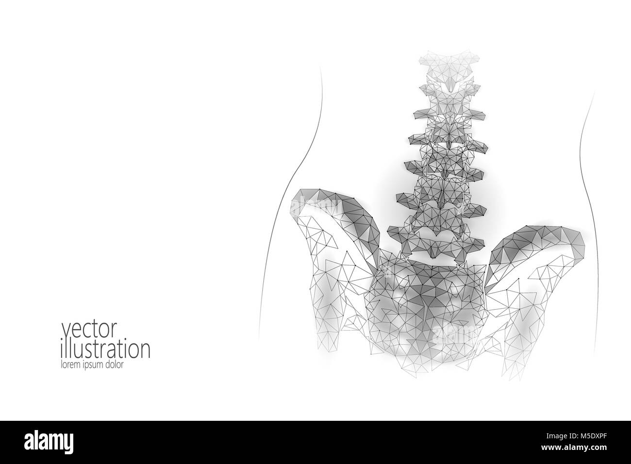 Human spine hip lumbar radiculitis pain low poly. Geometric polygonal particle triangle point line future medicine technology abstract gray white vector illustration Stock Vector