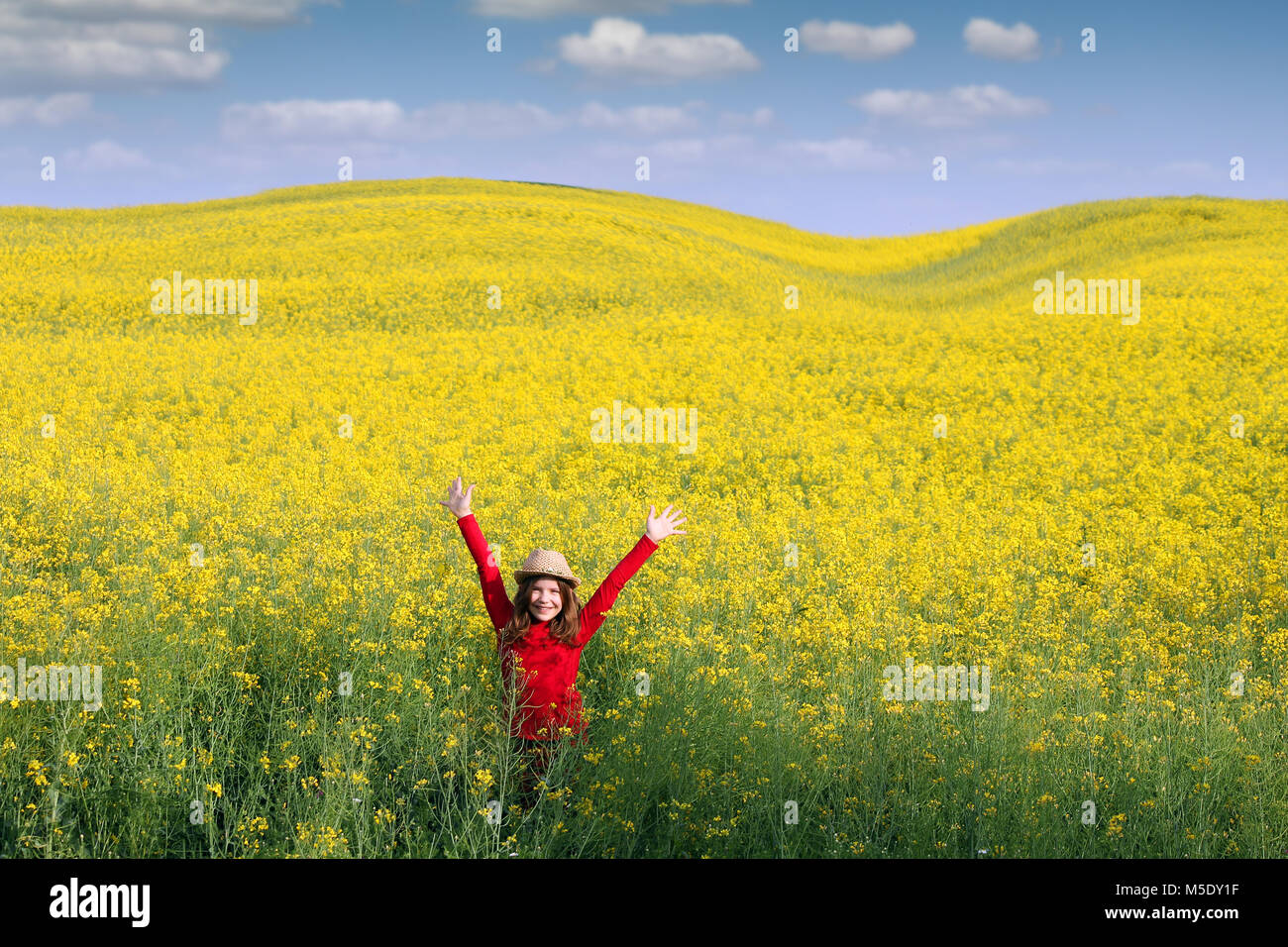 beautiful little girl with hands up on field spring season Stock Photo ...