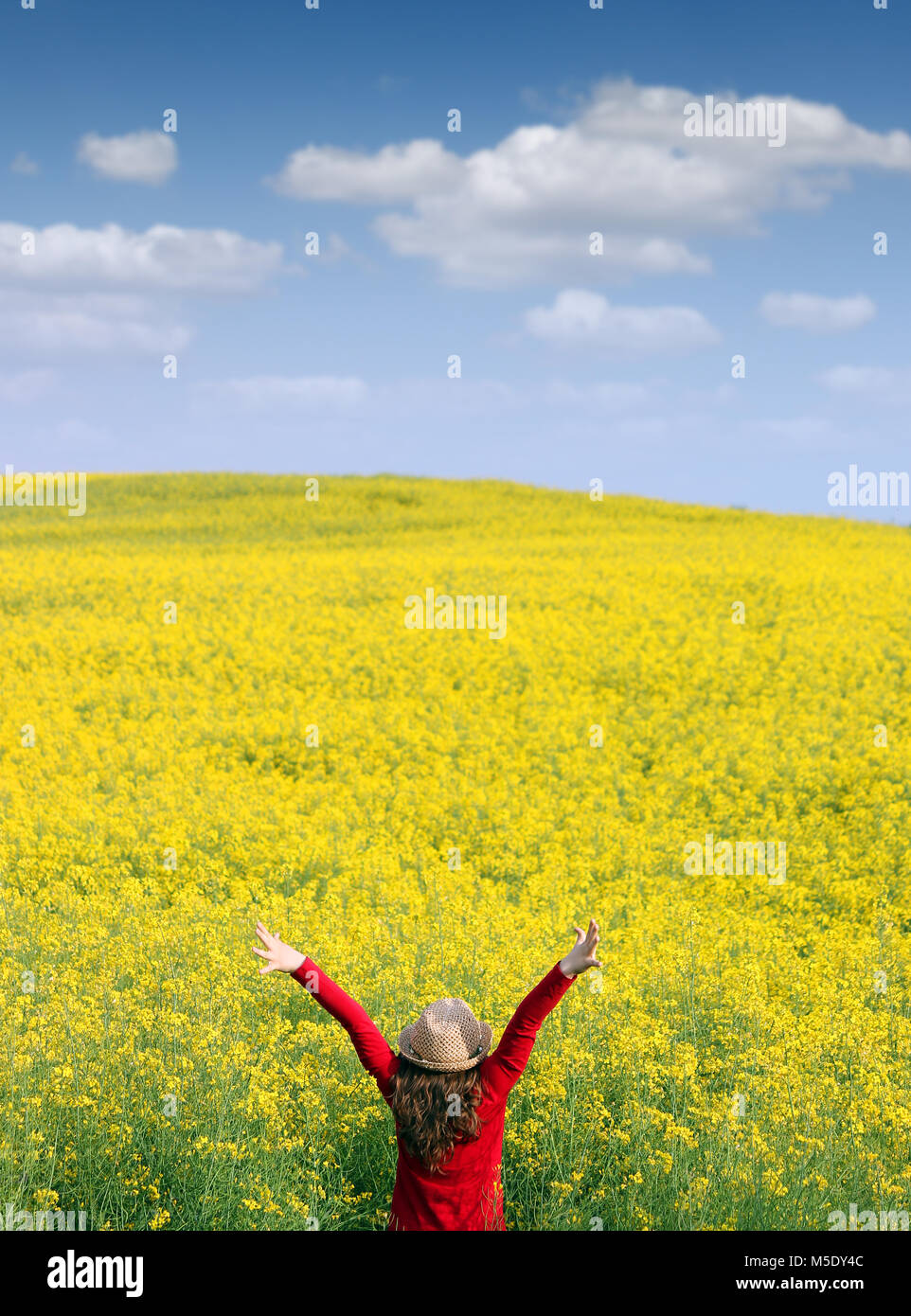 happy little girl with hands up spring season Stock Photo - Alamy