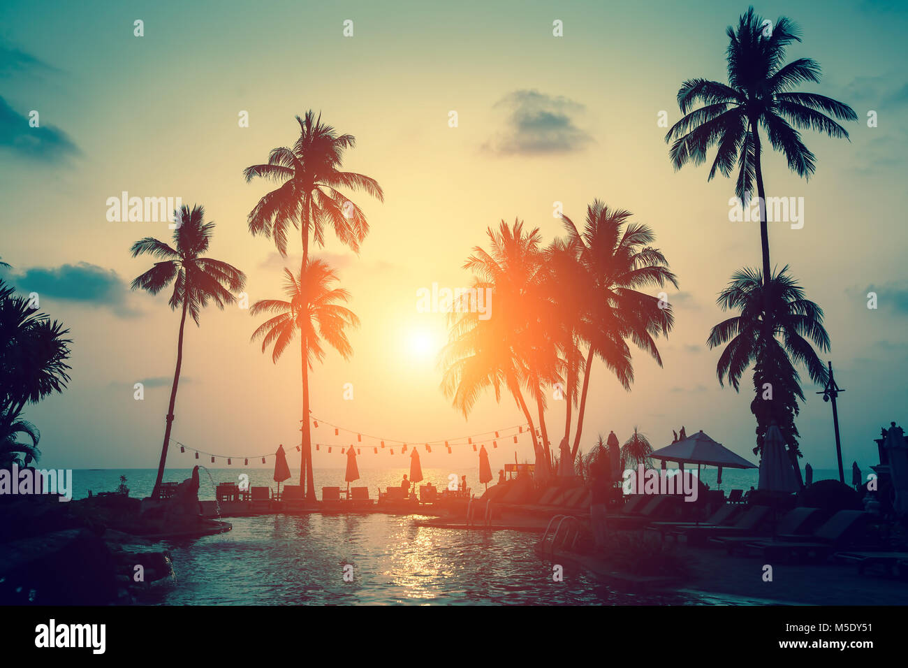 Silhouettes of palm trees on a tropical sea beach during sunset. Stock Photo