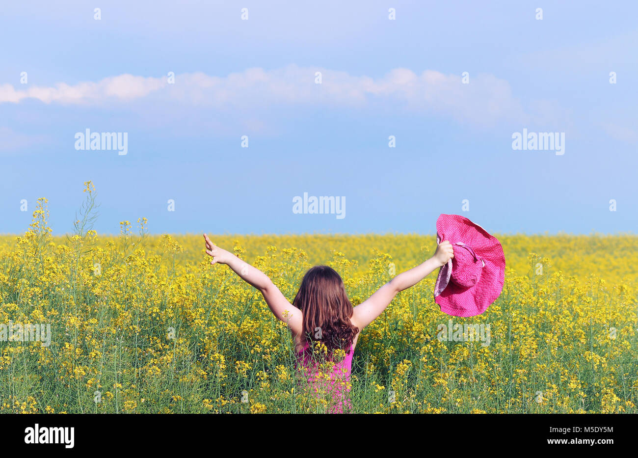 Little girl with hands up on meadow spring season Stock Photo - Alamy
