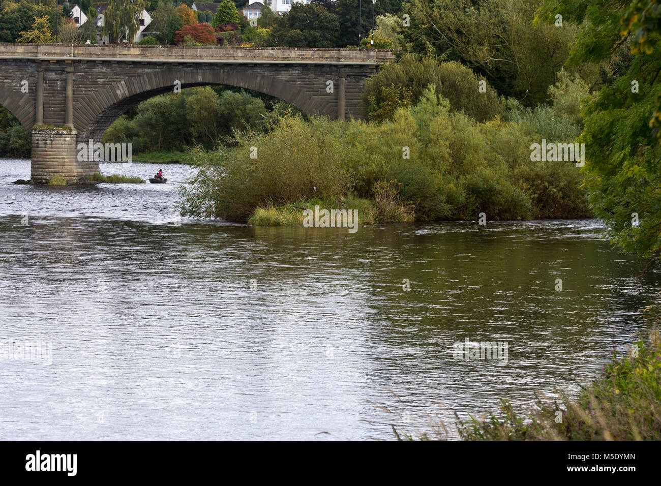Fishing for salmon, the Junction pool, where the river Teviot meets the