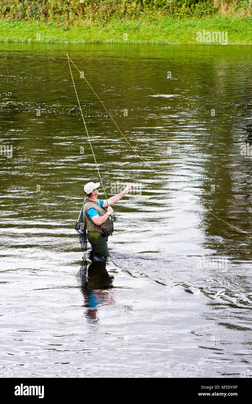 Fishing for salmon, the Junction pool, where the river Teviot meets the