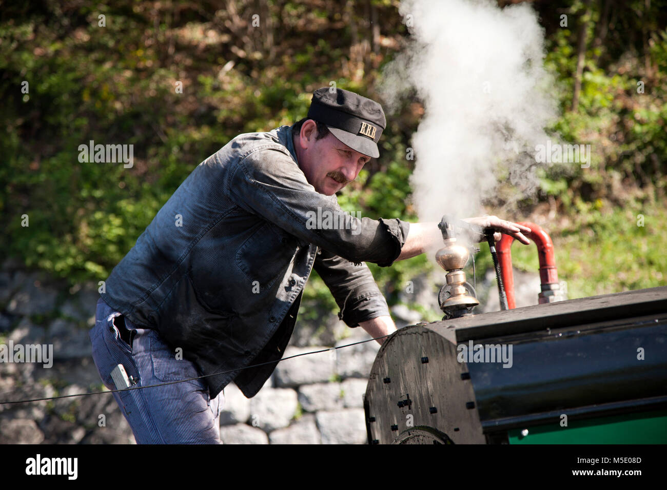 Mechanic, railroad engine, rack railway, steam road, train driver