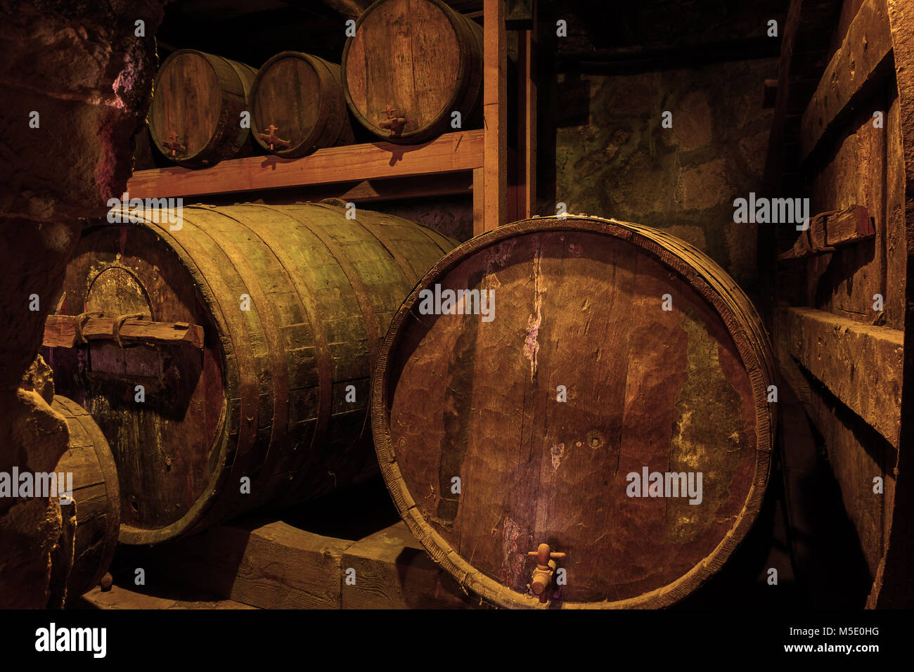 Old wooden wine barrels in cellar Stock Photo