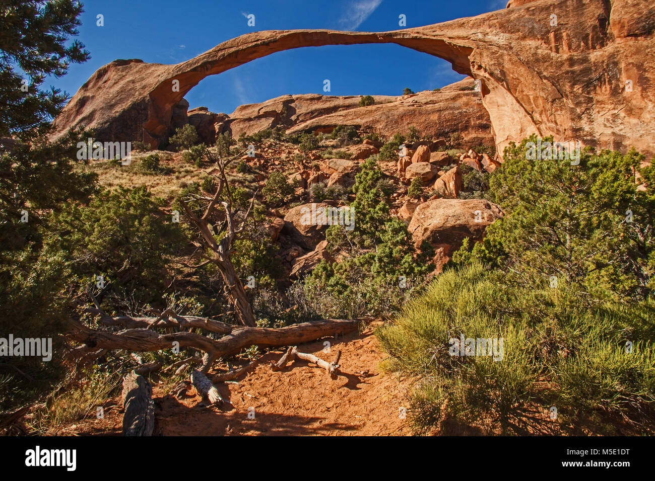 The Landscape Arch, Arches National Park Utah 4 Stock Photo