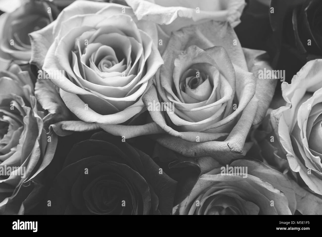 Bouquet floral Black and White Stock Photos & Images - Alamy