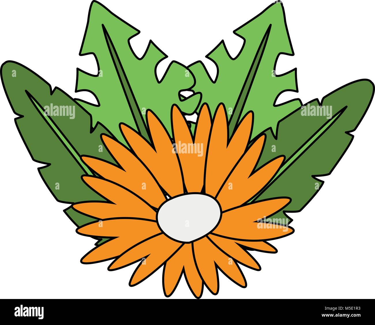 Flower with leaves Stock Vector Image & Art - Alamy